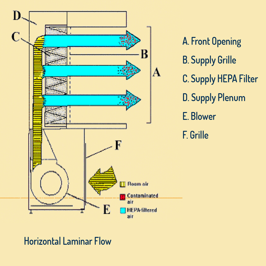 Best Laminar airflow manufacturers in Chennai, India